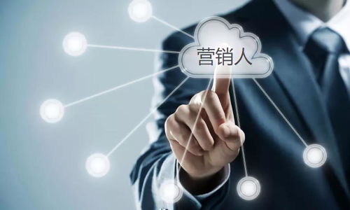 營銷人必備能力與軟件信息技術(shù)服務(wù)應(yīng)用